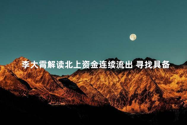 李大霄解读北上资金连续流出 寻找具备成长潜力的优质企业